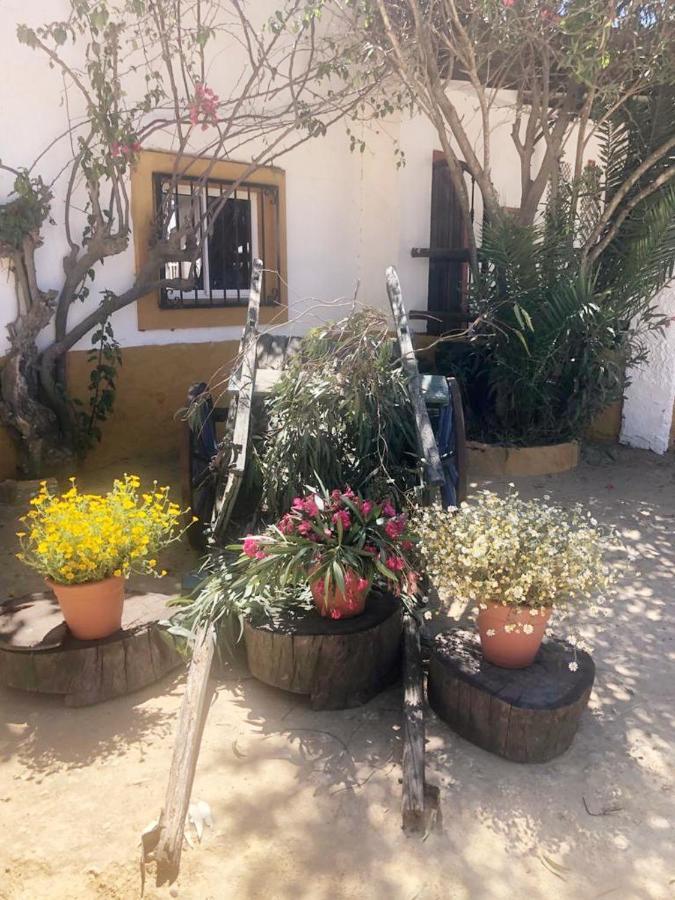 Posada Rural La Corbera Utrera Extérieur photo